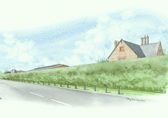 The same view from the roadside of the development, but now with tall hedges and bushes.